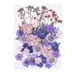 thumbnail image 4 of Inteprter Flor seca natural DIY Elaboración de flores prensadas hechas a mano Decoración del hogar Regalos para tarjetas de boda de resina Púrpura Type1 NO1 Inteprter CBP187481, 4 of 4