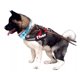 thumbnail image 1 of Arnes Para Perros Razas Grandes Personalizados Uso Rudo, 1 of 4