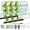 2PACK 42 x 16 IN Green, variant on Cucumber Trellis for Raised Bed A Frame Metal Garden Trellis for Climbing Plants Outdoor, 42 x 16IN Foldable Coated Steel Cucumbers Trelli, Easy to Install Cucumber Trellis for Vegetable Fruit