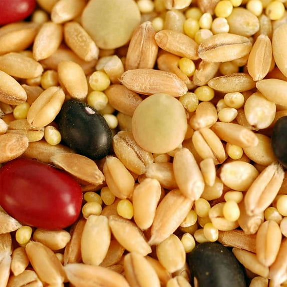 Basic Bible Bread Making Kit - Make Biblical / Bible Flour & Bread - Organic