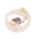 thumbnail image 1 of Eigraketly Portaescobillas de carbón de repuesto para Motor 895 875 887 Portaescobillas de carbón para Motor resistente y confiable Herramientas y ferretería, 1 of 6