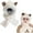 White, variant on Cute Fox Ears 2-in-1 Hat and Scarf, 2026 New Winter Cold Resistant Hat Face Mask Hooded Scarf, Women's Winter Hooded