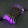 thumbnail image 3 of Luces navideñas navideñas LED moradas de 33 pies, 100 unidades, 3 of 6