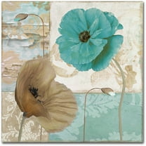 Trademark Fine Art "Beach Poppies IV" Canvas Art by Color Bakery