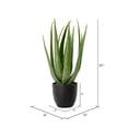thumbnail image 2 of Vickerman FO182301 25 in. Green Potted Aloe Vera Pot, 2 of 2