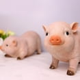 Pig Statue Pig Garden Statue Tree Decor Animal Garden Statue Rustic Pig ...