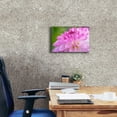 thumbnail image 4 of Epic Graffiti 'Cerise Pink Dahlia' by Cora Niele, Canvas Wall Art, 18"x12", 4 of 8