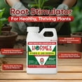 thumbnail image 6 of Hormex Vitamin B1 Rooting Hormone Concentrate – Root Stimulator and Root Hormone, 8oz, 6 of 8