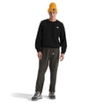 thumbnail image 3 of Camisa The North Face Evolution Simple Dome Crew para hombre negra L, 3 of 3