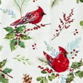 thumbnail image 6 of SKL Home By Saturday Knight Ltd Berry Cardinal Dish Towel - 2-Pack - 18X28", Multi, 6 of 9