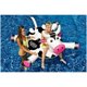 thumbnail image 2 of Boya de vaca Eustache 150 x 129 x 79 cm, 2 of 5