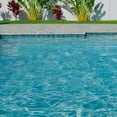 thumbnail image 5 of Clorox Pool&Spa Winter Ball for Liquid Pool Water Balancers Swimming Pools, 5 of 5