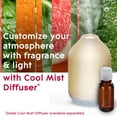 thumbnail image 6 of Glade Essential Oil Diffuser Refill, Spark Energy Scent with Notes of Grapefruit & Peppermint, 0.56 oz (16.8 ml), for Use with Cool Mist Aromatherapy Diffuser & Air Freshener for Home, 6 of 18