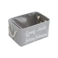 thumbnail image 2 of Foldable Fabric Storage Basket Gray | 14x9x8 in | Durable Handles, Soft Cloth Material, Easy Clean, Sturdy Stitching | Home Organization Clothing Toys Bin, 2 of 6