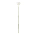 thumbnail image 2 of weibbin Artificial Lotus Flower Spring Summer Decor Realistic One Stem Fake Lotus For Living Room Pond Decoration 28.34x3.93in, 2 of 6