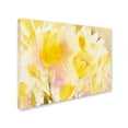 thumbnail image 3 of Trademark Fine Art "Yellow Gardens" Canvas Wall Art by Sheila Golden, 3 of 4