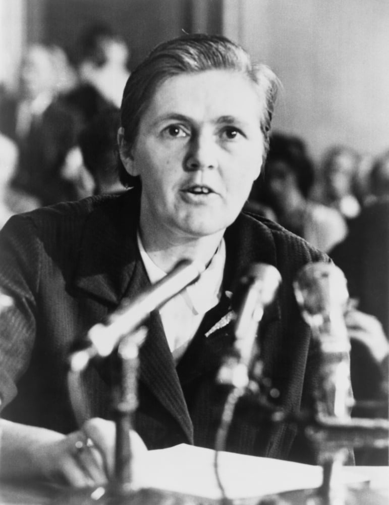 Dr. Frances O. Kelsey History (18 x 24)