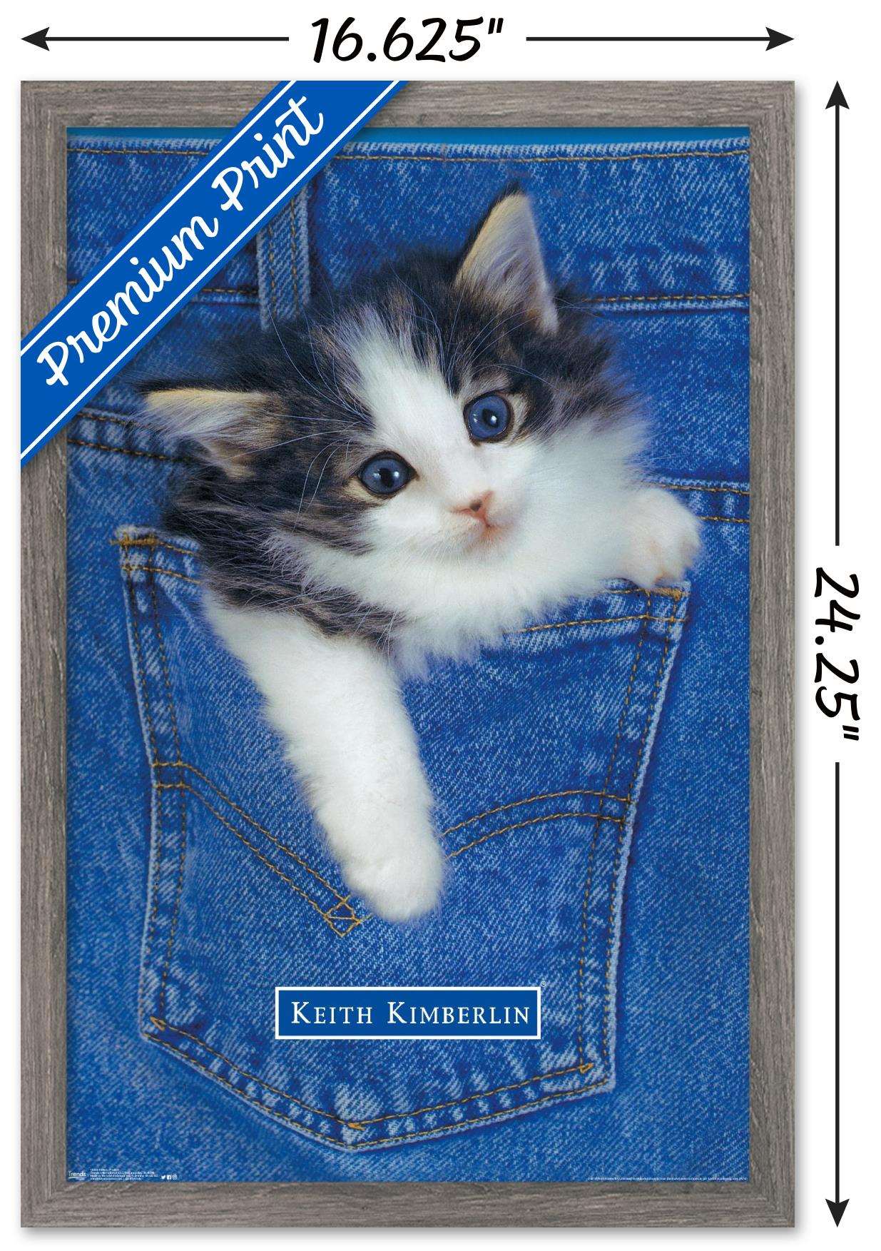 Keith Kimberlin - Kitten - Pocket Wall Poster, 14.725" x 22.375", Framed