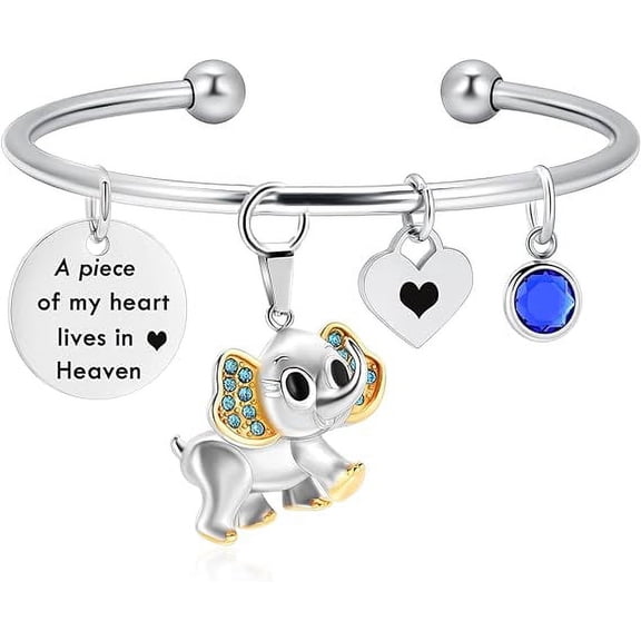 Crystal Urn Bracelet Ash Elephant Never Forget Cremation Bracelet for Ashes Memorial Ashes Bracelet for Human Ashes Heart Charm Memorial Keepsake Bangle