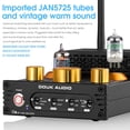 thumbnail image 4 of Amplificador Phono a Válvulas Douk Audio X1 Bluetooth 160W×2 Control de Tonos, 4 of 9