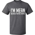 thumbnail image 2 of OXI T-Shirt - I Am Mean Because You Are Stupid, Basic Casual T-Shirt for Men's and Women Fleece T-Shirt Short Sleeve - Graphite Heather Medium, 2 of 3