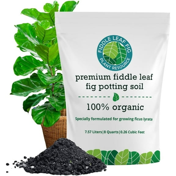 Fiddle Leaf Fig Potting Soil Mix by Fiddle Leaf Fig Plant Resource Premium Organic Soil with Enhanced Drainage for Fast Growth and Healthy Roots Large Bag