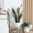 thumbnail image 2 of Teissuly WiFi Tuya Smart Home Sprinkler Timer Rechargeable App Automatic Micro Drip Irrigation System Double Pump Watering Teissuly WER202310061608, 2 of 9
