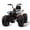 White, variant on 24V 400W Kids ATV , 2 Seater Ride On Car, 17.3" Big Wheel Ride On Toys for Big Kids, 4WD Kids 4 Wheeler