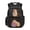 Capybara Study, variant on HUIACONG Capybara Study Backpack for Teens 12-18, Stylish Math Formula Print 17 Inch School Bag, Durable Lightweight Water Resistant Backpack for High School