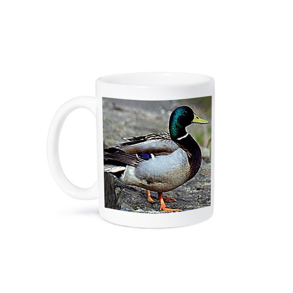3dRose, Duck, 11oz Mug