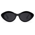 thumbnail image 2 of Gafas de Sol VANLINKER Polarizadas Modernas con Montura Gruesa Ovalada y Redonda VL9825, 2 of 5