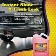 Wizards Mist-N-Shine Quick Detailer Spray & Professional Car Detailer, High-Gloss Exterior Car Cleaner & Shine for Glass, Metal, Plastic & More, 1 Gal