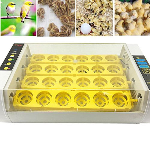 Lolicute 24 Egg Incubator Intelligent Flip Temperature and Humidity Control Digital LED Display for Home Farm Laboratory Incubation of Chickens Ducks Geese and Quail 110V 