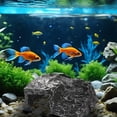 thumbnail image 2 of Turtle Basking Platform for Aquarium, Resting Terrace for Tortoise and Climbing Platform, Resin Realistic Stone Ornament for Fish Tank, Turtle Dock for Small Aquarium and Terrarium (C), 2 of 5