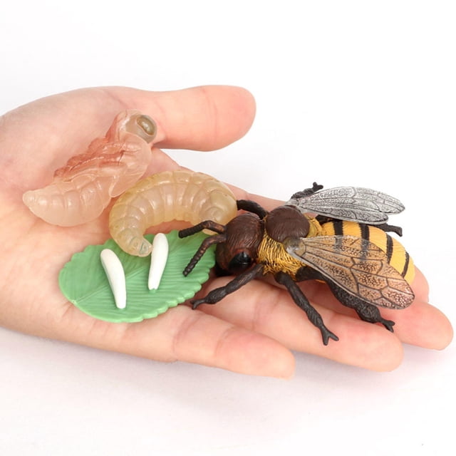 Conjunto de modelos animales Juguete de salmón Colección de juguetes educativos para CUTICAT Juego de crecimiento de tortugas marinas