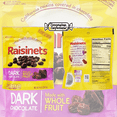 thumbnail image 4 of Raisinets Chocolate Covered Raisin 4 Bag Variety Pack - 2 Each of Milk and Dark Chocolate - Individually Sealed 8 oz Bags of Gluten-Free Chocolate Covered Raisins in Cornershop Confections Pack, 4 of 4