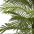 thumbnail image 3 of Nearly Natural 5479 5.5 ft. Double Robellini Palm Tree UV Resistant, 3 of 3