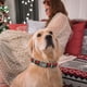 thumbnail image 4 of Collar para perro Elegant Little Tail M 32-56 cm con estampado navideño, 4 of 5