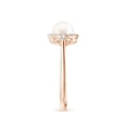 thumbnail image 6 of ANGARA Freshwater Cultured Pearl Halo Engagement Ring in 14K Rose Gold for Women | June Birthstone, Birthday, Anniversary, Jewelry Gift for Women | Pearl Ring, 6 of 12