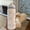 Cherry, variant on 32oz Limited Edition Stainless Steel Tumbler - Leakproof Dual Lid (Straw & Sip), Soft Handle, Double-Wall Insulated Travel Mug for Office, Camping, Sports, Home, Ideal Gift
