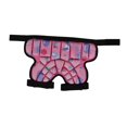 thumbnail image 1 of Pantalones Cortos Protectores de Cadera Acolchados para Niños, Pantalones Cortos Acolchados, Cojín EVA 3D, Equipo Protector de Esquí Ajustable para Pa Rosa, 1 of 8