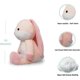 thumbnail image 2 of Pink Bunny Rabbit Plush - 10 Inches Stuffed Animal Plushie - Plushy and Squishy Rabbit with Soft Fabric and Stuffing - Cute Toy Gift, 2 of 4