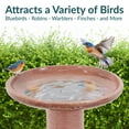 thumbnail image 4 of Sunnydaze Duo-Tone Freestanding Ceramic Outdoor Bird Bath, UV-Resistant Lava Finish, 4 of 11