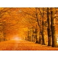 thumbnail image 2 of Pangea Images 24x19 Gold Ornate Wood Framed with Double Matting Museum Art Print Titled - Woods in autumn, 2 of 4