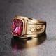 thumbnail image 3 of Anillo de acero inoxidable Shaofei con diseño cuadrado piedra negra y roja estilo punk retro dorado, 3 of 5
