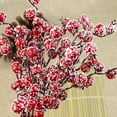 XUEYING New Holiday Decorations Simulate Red Fruit Pomegranate Fruit xueying-new-holiday-decorations-simulate-red-fruit-pomegranate-fruit