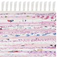 thumbnail image 3 of Safavieh Rag Rug Light Pink Contemporary Rug - 2'3" x 3'9", 3 of 4
