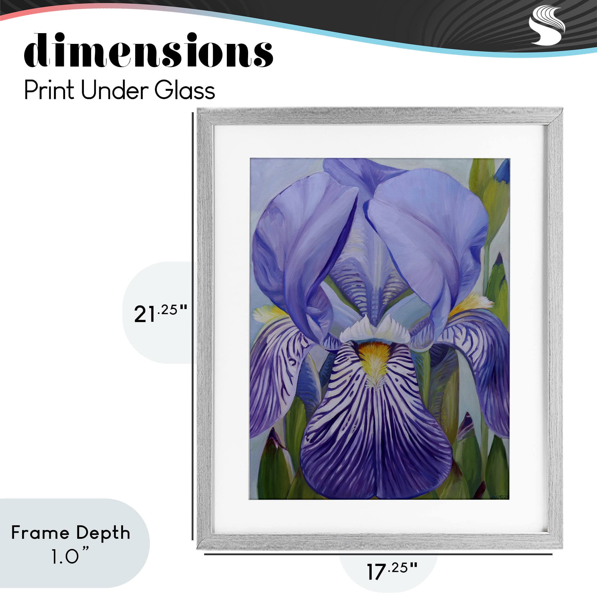 Stupell Industries Blooming Purple Iris Petals Gray Framed Print Under Glass, design by Violeta Vollmer