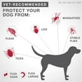 thumbnail image 4 of K9 Advantix II Flea and Tick Treatment for Medium Dogs ( 2 pack), 4 of 7