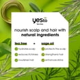 thumbnail image 3 of Yes To Tea Tree & Sage Oil Scalp Relief Shampoo, 12 fl oz, 3 of 7